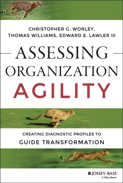 Assessing Organization Agility : Creating Diagnostic Profiles to Guide Transformation, PDF eBook