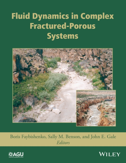 Fluid Dynamics in Complex Fractured-Porous Systems, Hardback Book