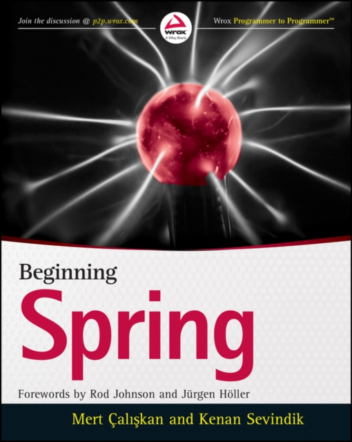 Beginning Spring, Paperback / softback Book