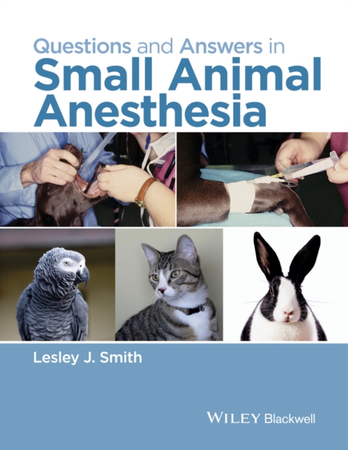 Questions and Answers in Small Animal Anesthesia, PDF eBook