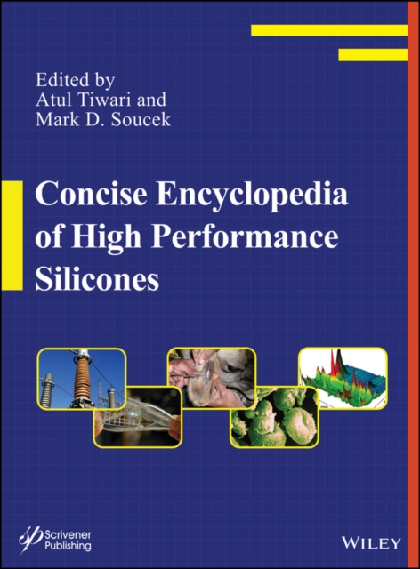 Concise Encyclopedia of High Performance Silicones, EPUB eBook