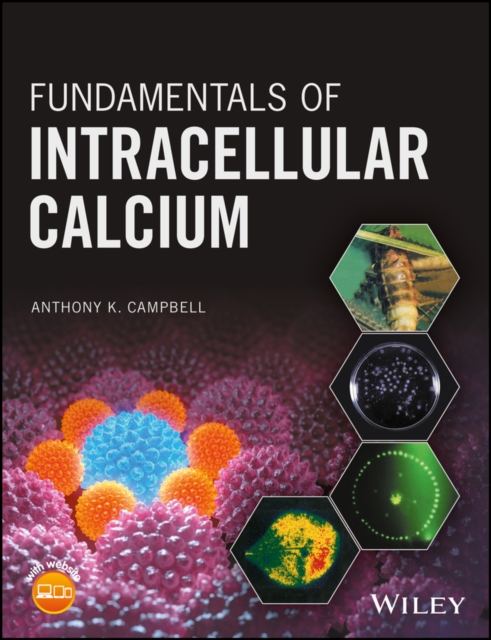 Fundamentals of Intracellular Calcium, Paperback / softback Book