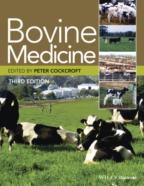 Bovine Medicine, PDF eBook