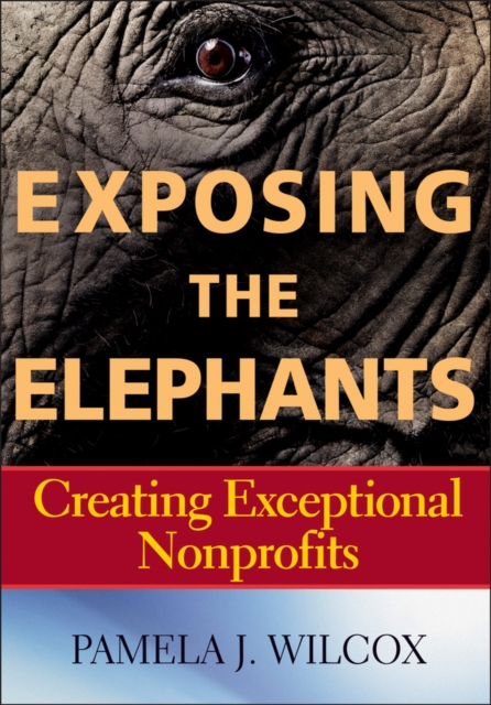 Exposing the Elephants : Creating Exceptional Nonprofits, Paperback / softback Book