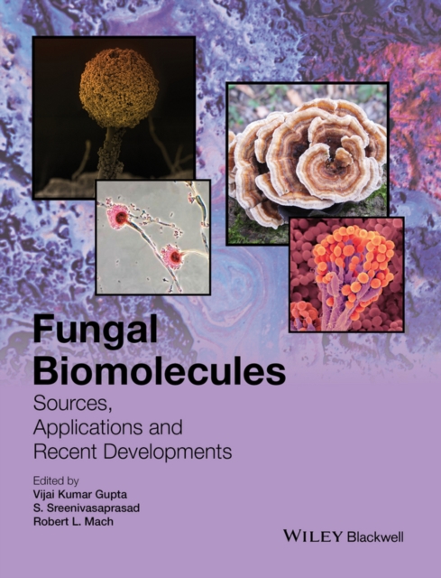 Fungal Biomolecules : Sources, Applications and Recent Developments, Hardback Book