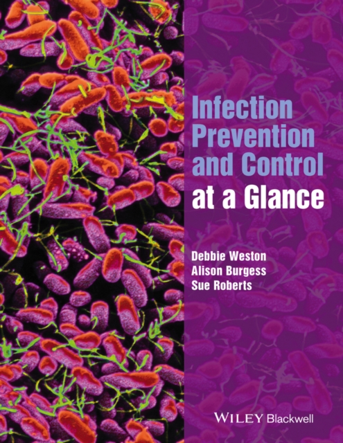 Infection Prevention and Control at a Glance, EPUB eBook