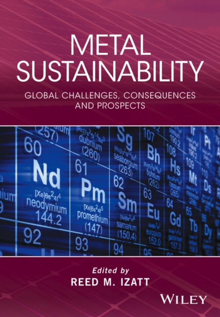 Metal Sustainability : Global Challenges, Consequences, and Prospects, Hardback Book