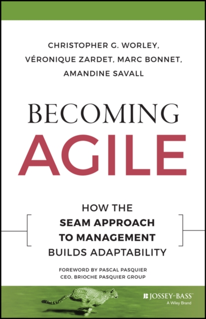 Becoming Agile : How the SEAM Approach to Management Builds Adaptability, Hardback Book