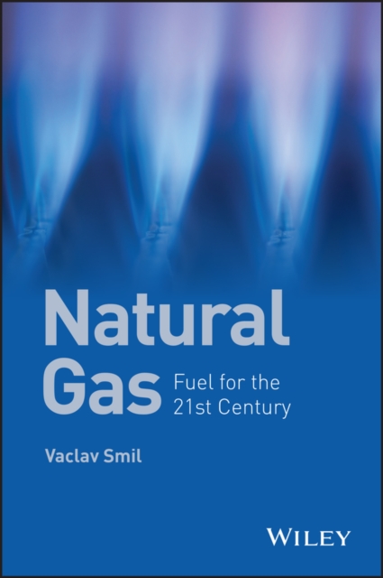 Natural Gas : Fuel for the 21st Century, EPUB eBook