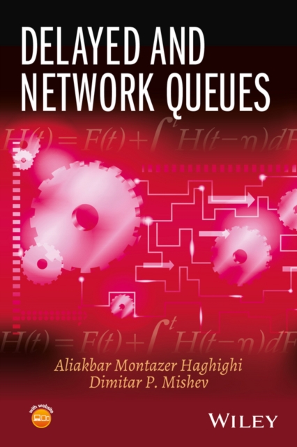 Delayed and Network Queues, EPUB eBook