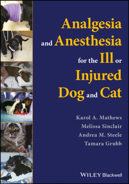 Analgesia and Anesthesia for the Ill or Injured Dog and Cat, Paperback / softback Book
