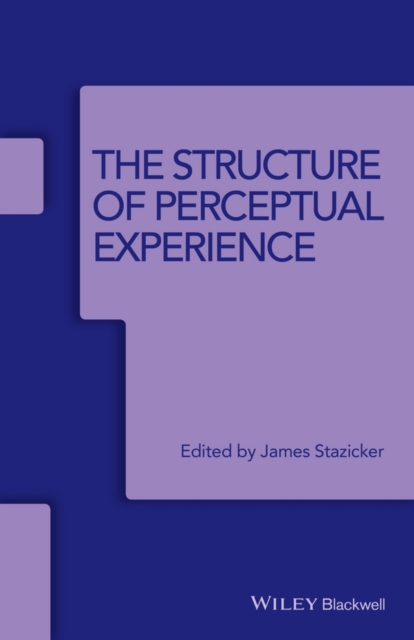 The Structure of Perceptual Experience, Paperback / softback Book