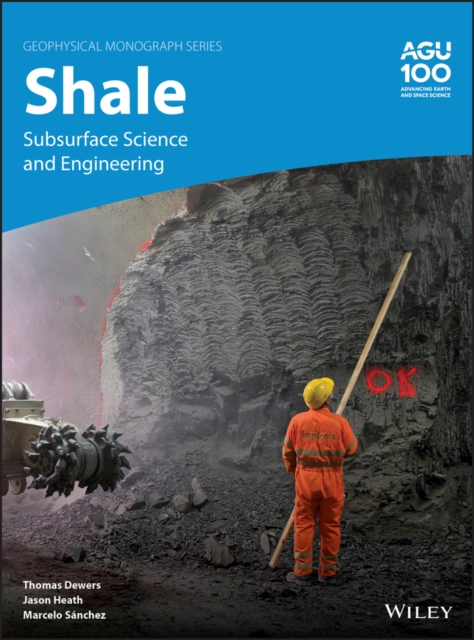 Shale : Subsurface Science and Engineering, Hardback Book