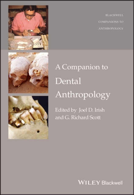 A Companion to Dental Anthropology, Paperback / softback Book