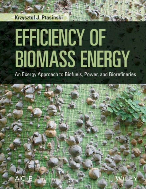 Efficiency of Biomass Energy : An Exergy Approach to Biofuels, Power, and Biorefineries, EPUB eBook