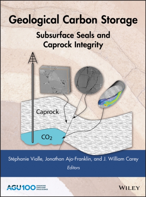 Geological Carbon Storage : Subsurface Seals and Caprock Integrity, Hardback Book