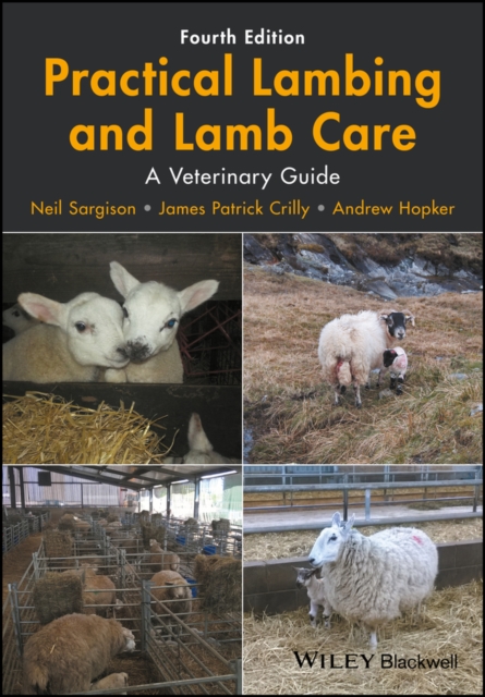 Practical Lambing and Lamb Care : A Veterinary Guide, PDF eBook