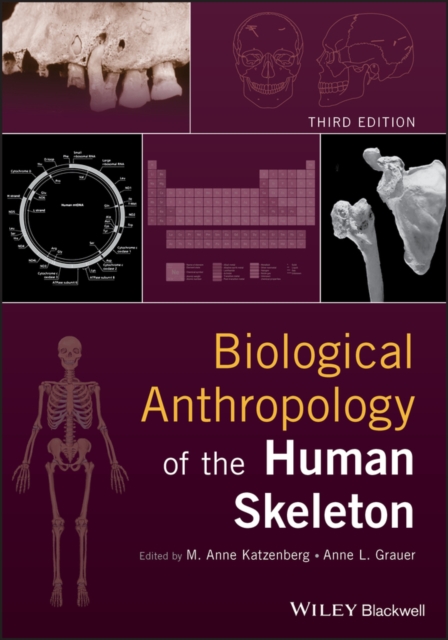 Biological Anthropology of the Human Skeleton, Hardback Book
