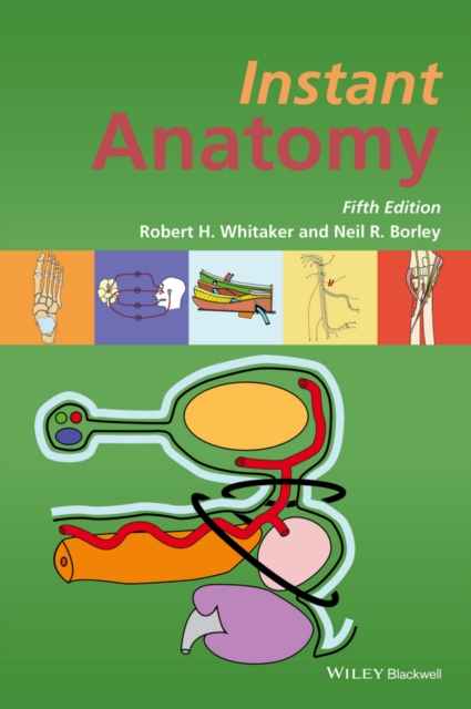 Instant Anatomy, Paperback / softback Book