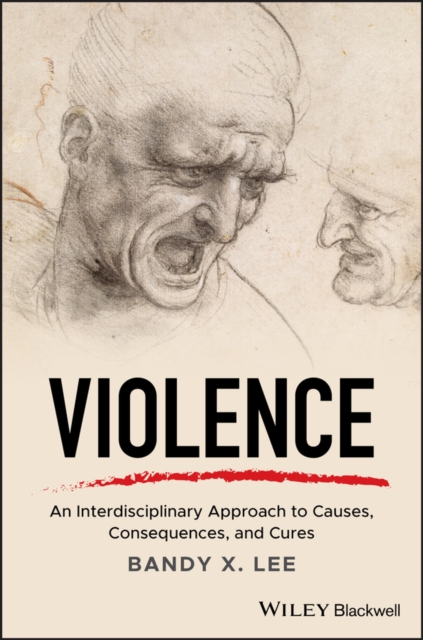 Violence : An Interdisciplinary Approach to Causes, Consequences, and Cures, Hardback Book