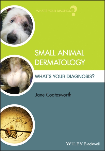 Small Animal Dermatology : What's Your Diagnosis?, Paperback / softback Book