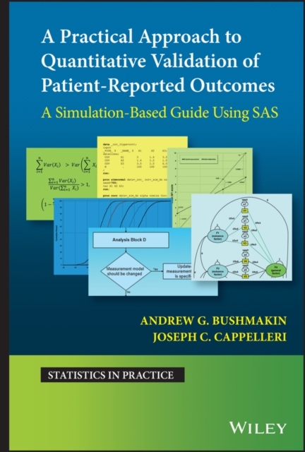 A Practical Approach to Quantitative Validation of Patient-Reported Outcomes : A Simulation-based Guide Using SAS, PDF eBook