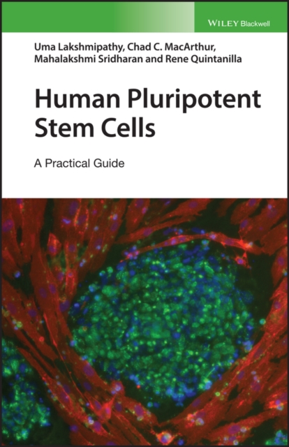 Human Pluripotent Stem Cells : A Practical Guide, Hardback Book