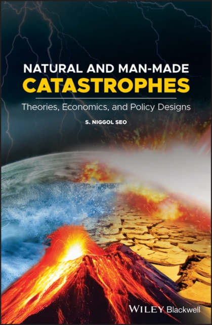 Natural and Man-Made Catastrophes : Theories, Economics, and Policy Designs, PDF eBook