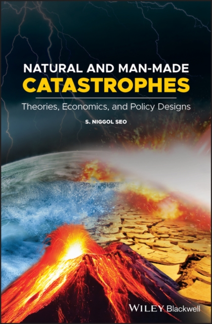 Natural and Man-Made Catastrophes : Theories, Economics, and Policy Designs, EPUB eBook