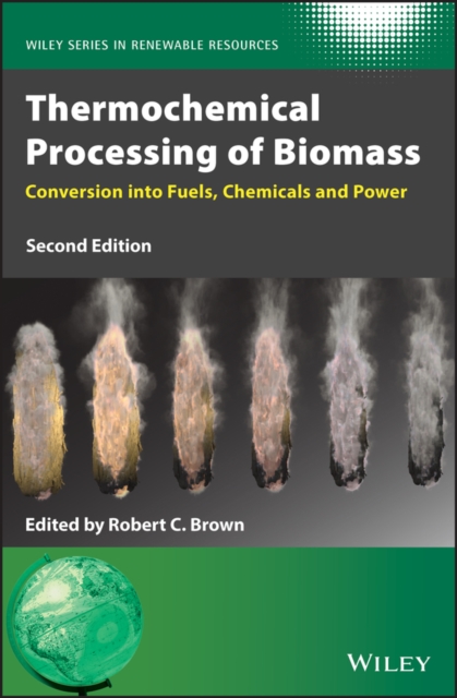 Thermochemical Processing of Biomass : Conversion into Fuels, Chemicals and Power, Hardback Book