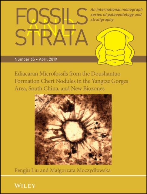 Ediacaran Microfossils from the Doushantuo Formation Chert Nodules in the Yangtze Gorges Area, South China, and New Biozones, Paperback / softback Book