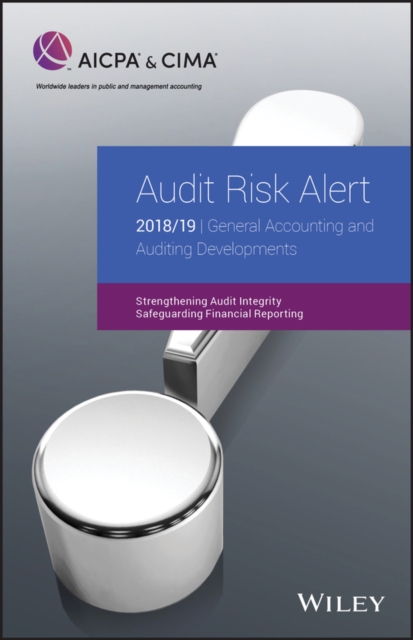 Audit Risk Alert: General Accounting and Auditing Developments 2018/19, PDF eBook