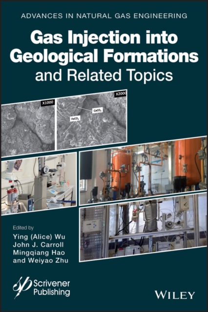 Gas Injection into Geological Formations and Related Topics, EPUB eBook