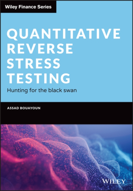Quantitative Reverse Stress Testing : Hunting for the Black Swan, Hardback Book