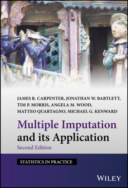Multiple Imputation and its Application, Hardback Book