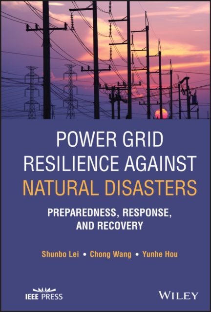 Power Grid Resilience against Natural Disasters : Preparedness, Response, and Recovery, PDF eBook