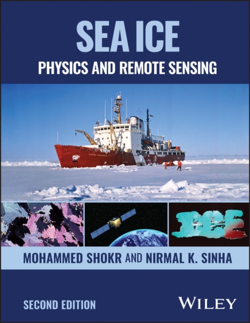 Sea Ice : Physics and Remote Sensing, EPUB eBook
