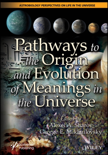 Pathways to the Origin and Evolution of Meanings in the Universe, Hardback Book