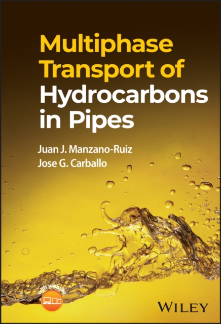 Multiphase Transport of Hydrocarbons in Pipes, PDF eBook