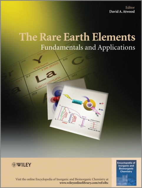 The Rare Earth Elements : Fundamentals and Applications, Hardback Book