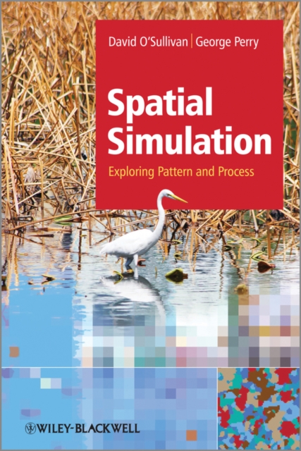 Spatial Simulation : Exploring Pattern and Process, Hardback Book