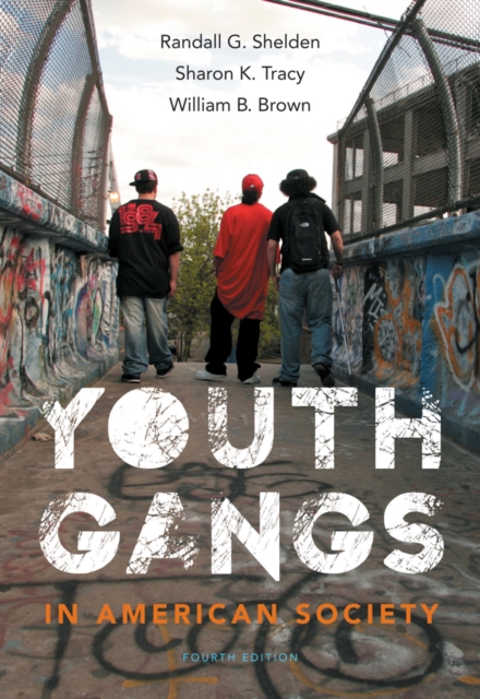 Youth Gangs in American Society, Paperback / softback Book