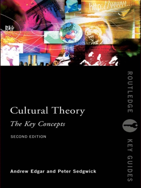 Cultural Theory: The Key Concepts, PDF eBook
