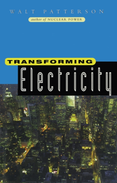 Transforming Electricity : The Coming Generation of Change, EPUB eBook