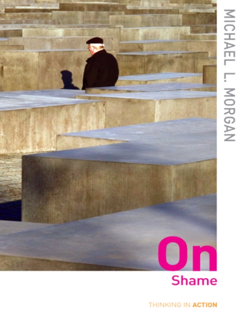 On Shame, PDF eBook