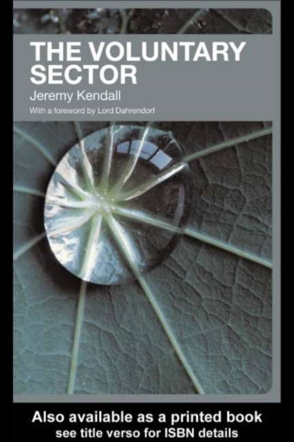 The Voluntary Sector : Comparative Perspectives in the UK, PDF eBook