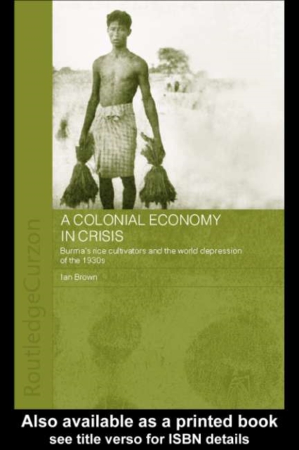 A Colonial Economy in Crisis : Burma's Rice Cultivators and the World Depression of the 1930s, PDF eBook