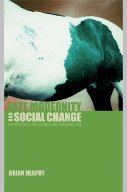 Late Modernity and Social Change : Reconstructing Social and Personal Life, EPUB eBook