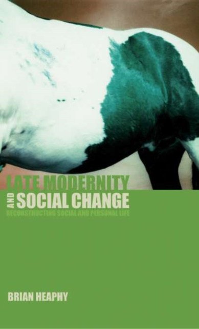 Late Modernity and Social Change : Reconstructing Social and Personal Life, PDF eBook
