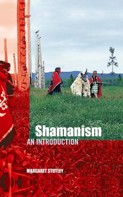 Shamanism : An Introduction, PDF eBook